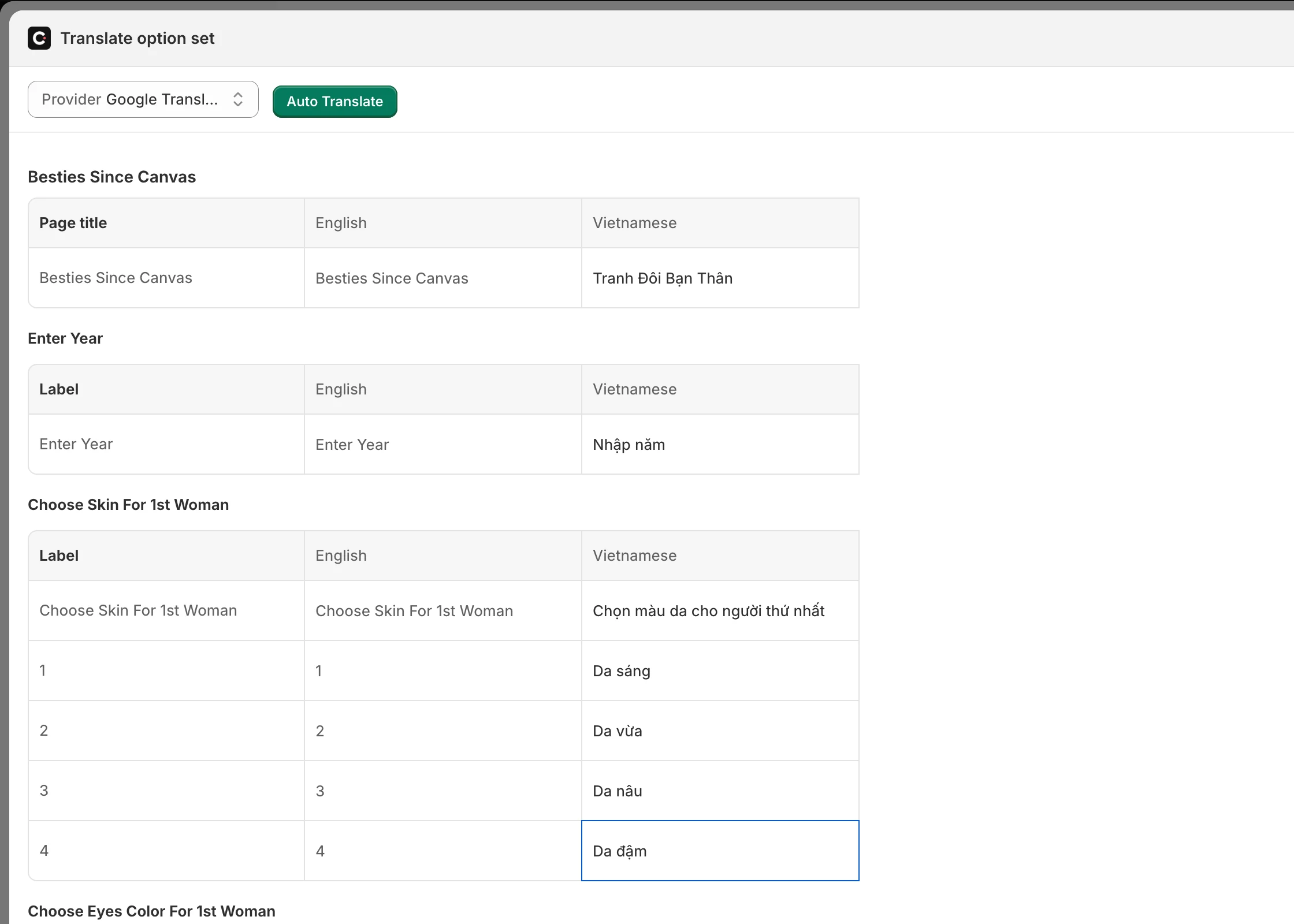 Translate option set: every label and value in English beside its Vietnamese translation, with Google Translate chosen as the provider
